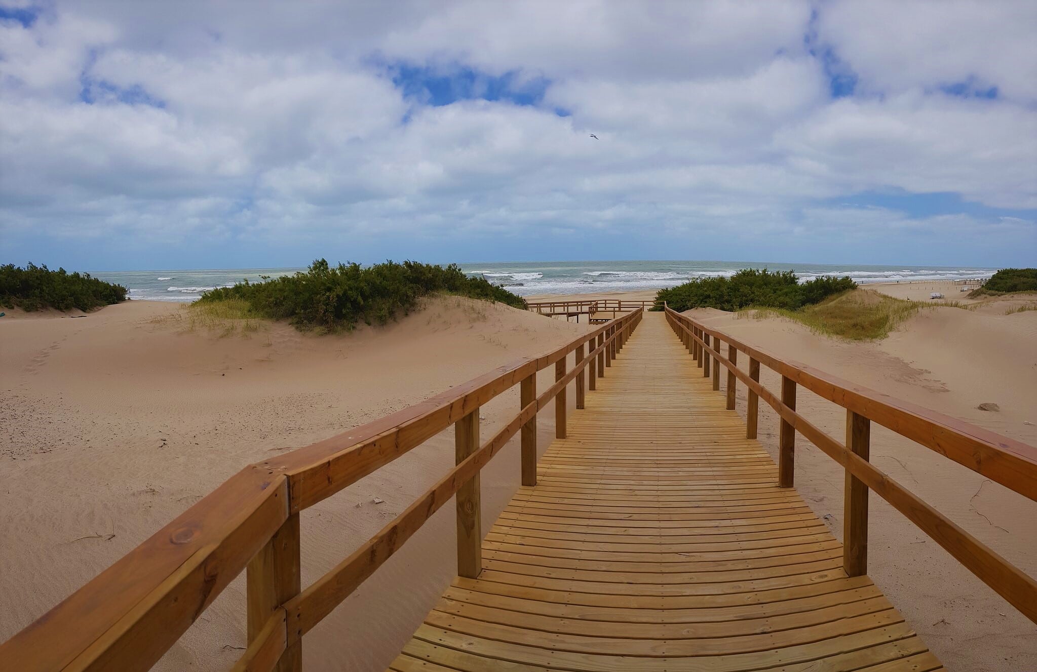 Cariló: Un Destino Encantador para las Vacaciones de Verano 2025